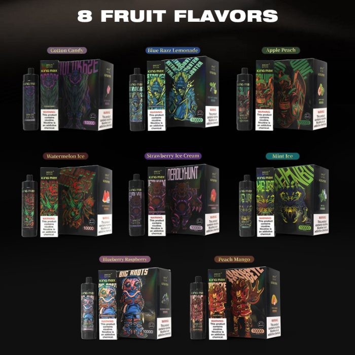 Breze Stiik Kingmax 10000 Puffs Disposable Vape best