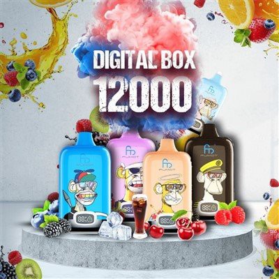 Randm Digital Box 12000 Puffs